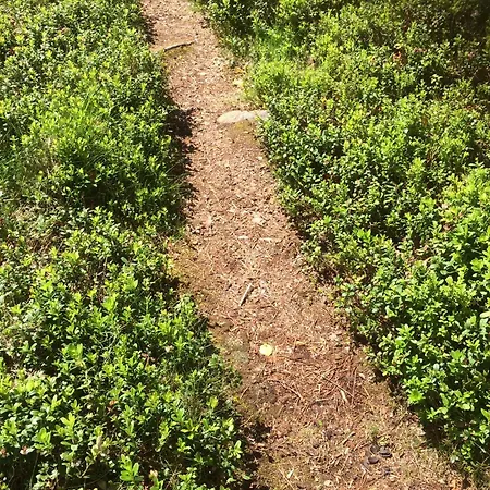 Villa Vaeinoelae, Tilaa Rauhoittua Alavus