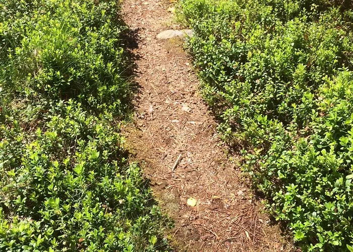 Βίλα Vaeinoelae, Tilaa Rauhoittua Alavus